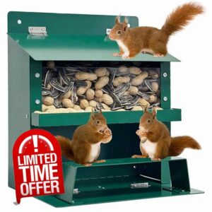 Squirrel Feeder 9×8×6in Metal Squirrel House with Clear Window & Stand Foldable Heavy Duty Box for Corn Nut Peanut Outside