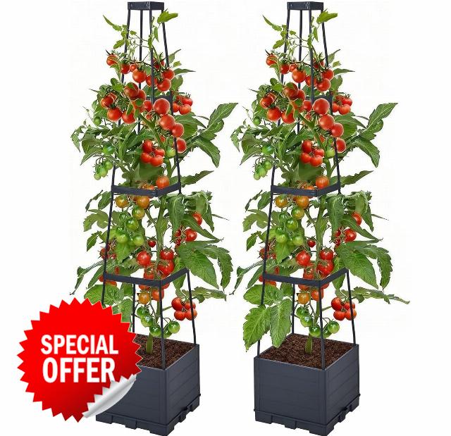 Tomato Planter Boxes with Trellis 2pcs Self-Watering Planter Box Self Watering Raised Garden Bed Tall Square Planters for Indoor Outdoor Climbing Vegetables Plants Patio Flowers Vegetable
