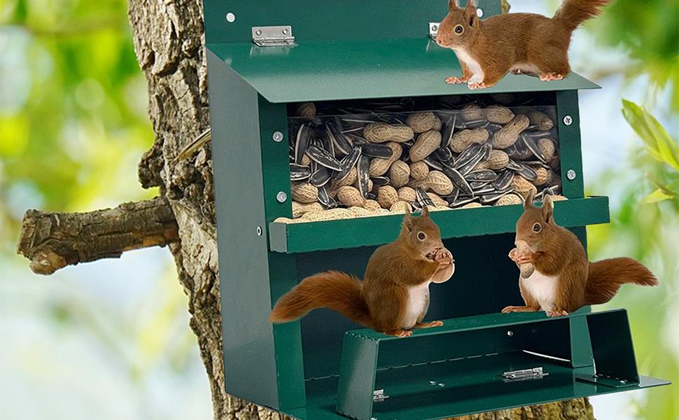 Picnic Table for Squirrels