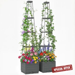 Outsunny 2 Pack Raised Garden Bed with Trellis