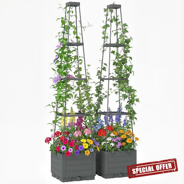 Outsunny 2 Pack Raised Garden Bed with Trellis