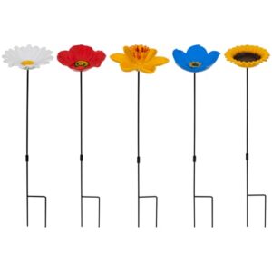 Daffodil