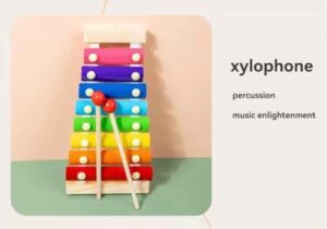Shape Sorting