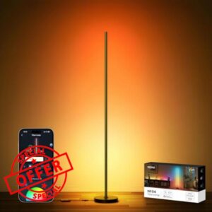 NEEWER NF04 Smart LED Floor Lamp