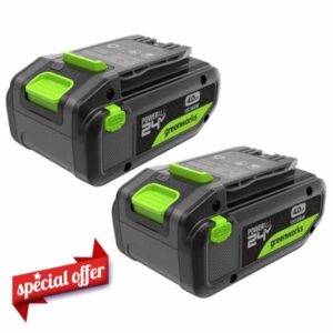 Greenworks TwinPack 24V 4Ah High Power USB-C Battery suitable for all 200+ Greenworks 24V devices