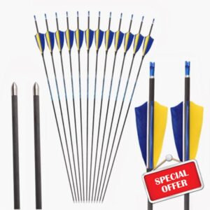 12pc ID 4.2 mm Blue Yellow Fletching Hunting Arrows Spine 300 350 400 500 600 700 800 900 1000 Practice Arrow