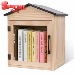 Little Library Box Outdoor Book Storage Little Wood Cabinet for DIY