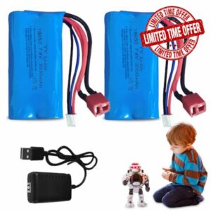 2 x Lithium-Ion Battery