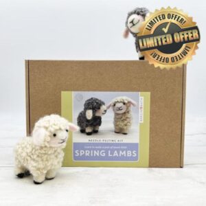 Bergin & Bath Beginner Needle Felting Kit