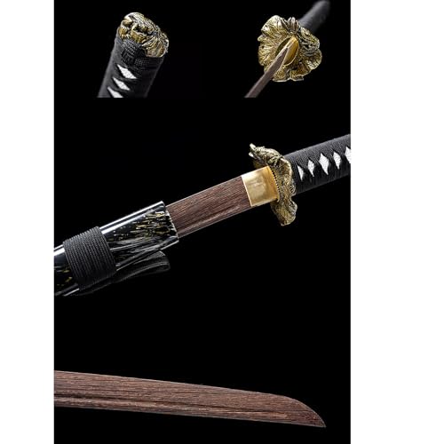 Cosplay Collection and Kendo Training(Color:C)