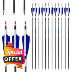 6/12pc Custom Length Feathered Carbon Arrows 200/250/300/350/400/500/600/700/800 Spine Removable Tips 4" Turkey Feather Targeting Hunting Arrow for Long-Bow Recurve Bow Compound Bow Archery A28