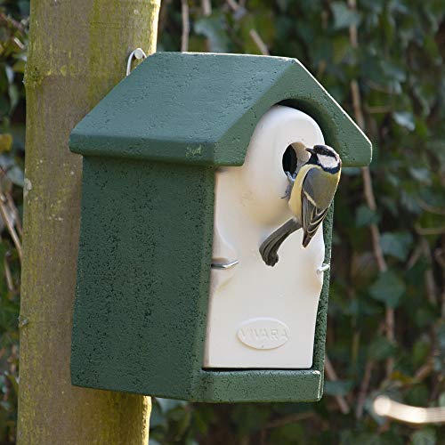 Nuthatches & Tree Sparrows – 32mm Hole