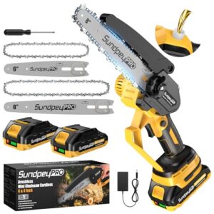 Handheld Battery Chain Saw with Auto Oiler/Safety Lock for Tree Branch Trimming Wood Cutting