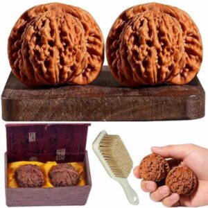 Wenwan Walnut Set