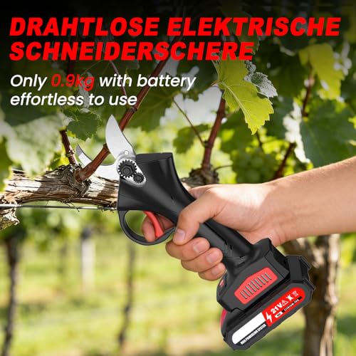 2*Batteries