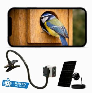 Bird Box Camera WiFi 4MP – Solar Birdhouse Camera for Nest Box Entrance Monitoring