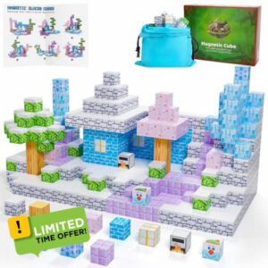 Magnetic Blocks