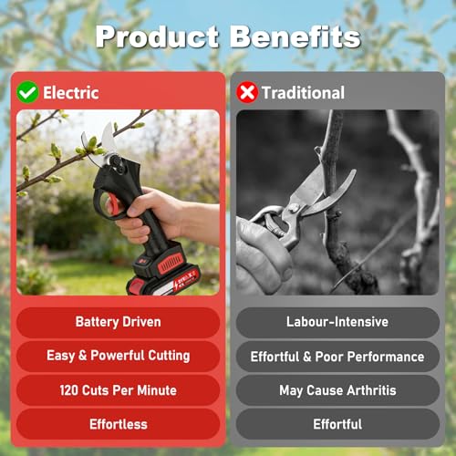 Brushless Motor