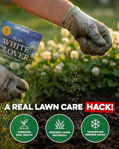 Low Maintenance – Nitrogen Fixing Green Manure for Greener Gardens (1kg)