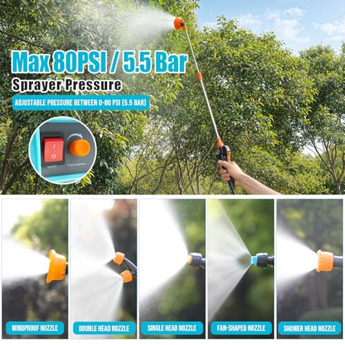 80 PSI Powerful Pressure Sprayer for Gardens