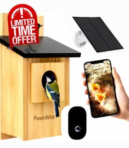 Smart Bird Box with 5MP WiFi Wireless Camera – Solar-Powered Bird Box with Camera