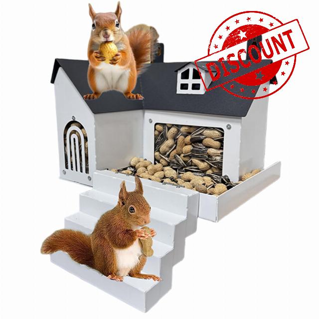 Squirrel Box