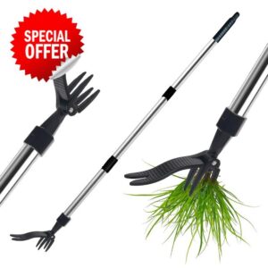 Lichamp Weed Puller