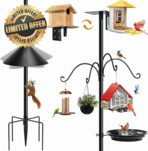 Bird Feeder Station with Squirrel Baffle and Bath