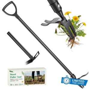 2-in-1 Weed Puller