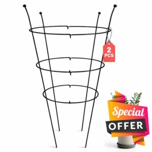 2 Pack Peony Support Frame