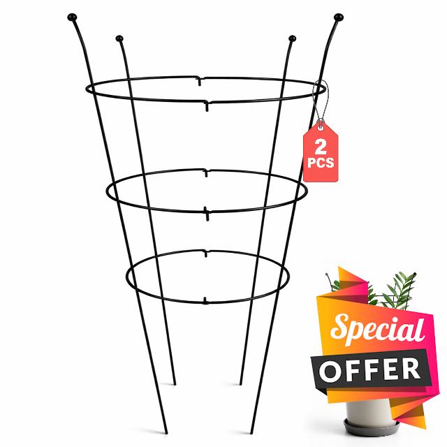 2 Pack Peony Support Frame