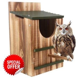 Owl House