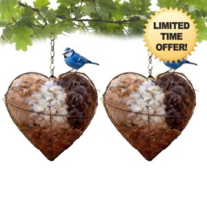 Handmade Fiber Bird Nesting Heart
