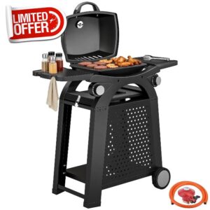 Outsunny 2 Burner Gas Grill with 2 Detachable Side Tables