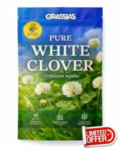 White Clover Lawn Seed – Small Leaf Micro Clover Ground Cover – Bee Friendly