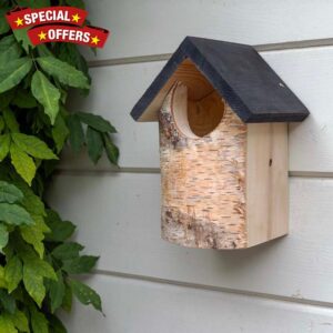 CJ Wildlife Bird Box for Gardens – Bird Nesting Box for Robins and Wrens – Birch Wood with Natural Bark – Eco-Friendly All Year Round Birdhouse