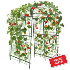Metal Garden Arch 115x183x230cm – Adjustable Width 90–115cm