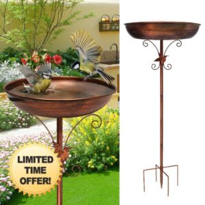 Newthinking Metal Bird Bath for Garden