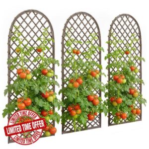 Outsunny Garden Arch