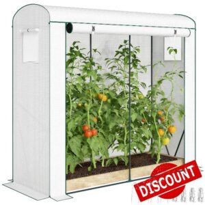 Outsunny Mini Greenhouse