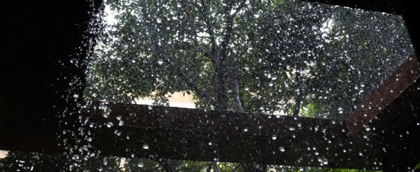 View through a window or glass surface showing trees, with water droplets or condensation visible on the glass.