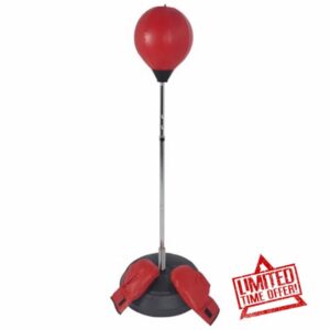 Punch Bag with Gloves