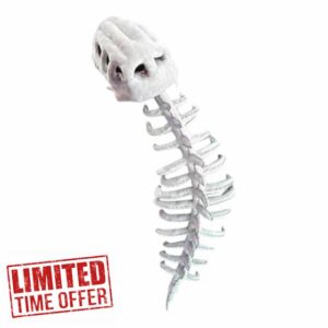 Realistic Dinosaur Skeleton Costume Set