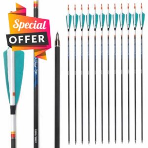 6/12pc Custom Length Feathered Carbon Arrows 200/250/300/350/400/500/600/700/800 Spine Removable Tips 4" Turkey Feather Targeting Hunting Arrow for Long-Bow Recurve Bow Compound Bow Archery A26
