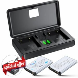 NP-45 Battery (2 Pack) and Charger (2CH) Set