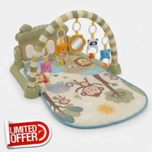 Baby Play Mat Baby Gym