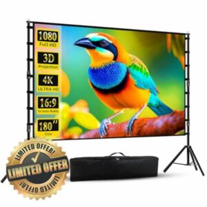 Projector Screen with Stand
