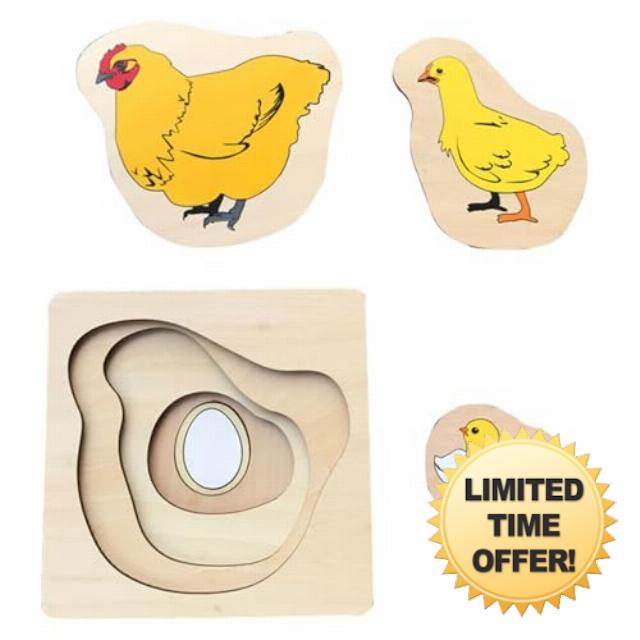 Montessori Wooden Jigsaw Puzzles