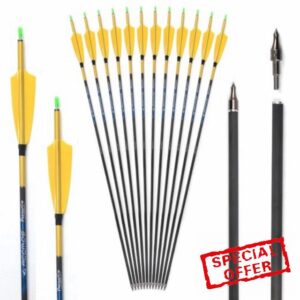 6/12pc Custom Length Feathered Carbon Arrows 200/250/300/350/400/500/600/700/800 Spine Removable Tips 4" Turkey Feather Targeting Hunting Arrow for Long-Bow Recurve Bow Compound Bow Archery A27