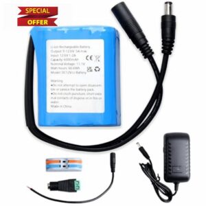6000mAh 12V Rechargeable Lithium-Ion Battery